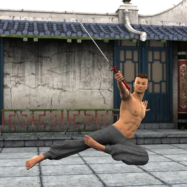 Mestre de Kung fu — Fotografia de Stock