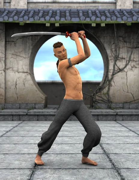 Maestro di kung fu — Foto Stock