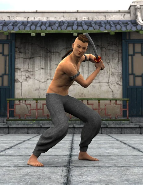 Maestro del kung fu — Foto de Stock