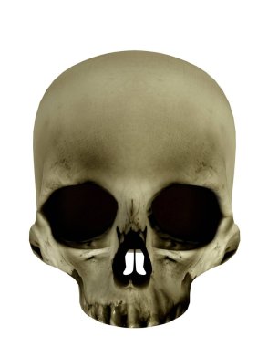 iskeletin 3d cg işleme