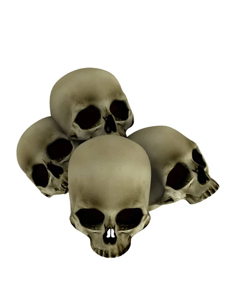 3D-cg rendering van skelet — Stockfoto