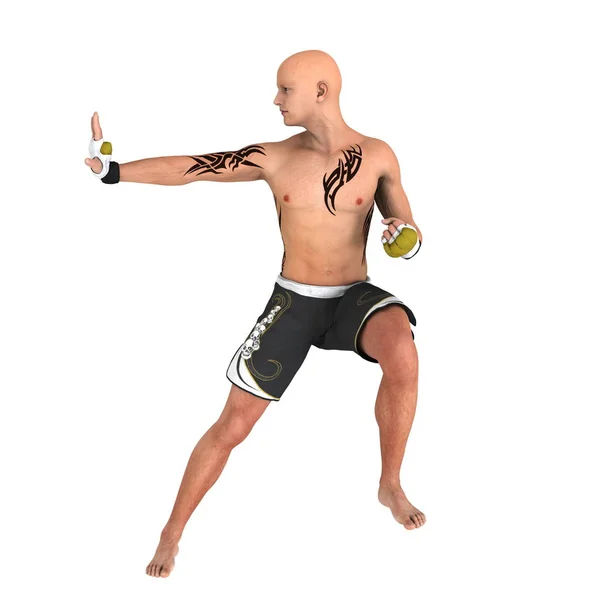 3D CG rendering of a martial artist — Stock Photo, Image