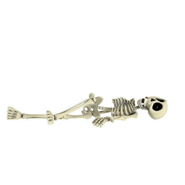 3D CG rendering of a skeleton — Stock Photo, Image