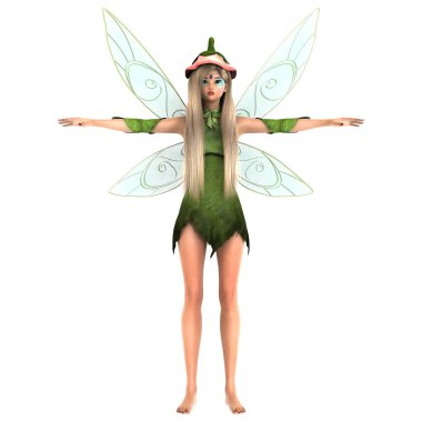 3d cg işleme bir peri