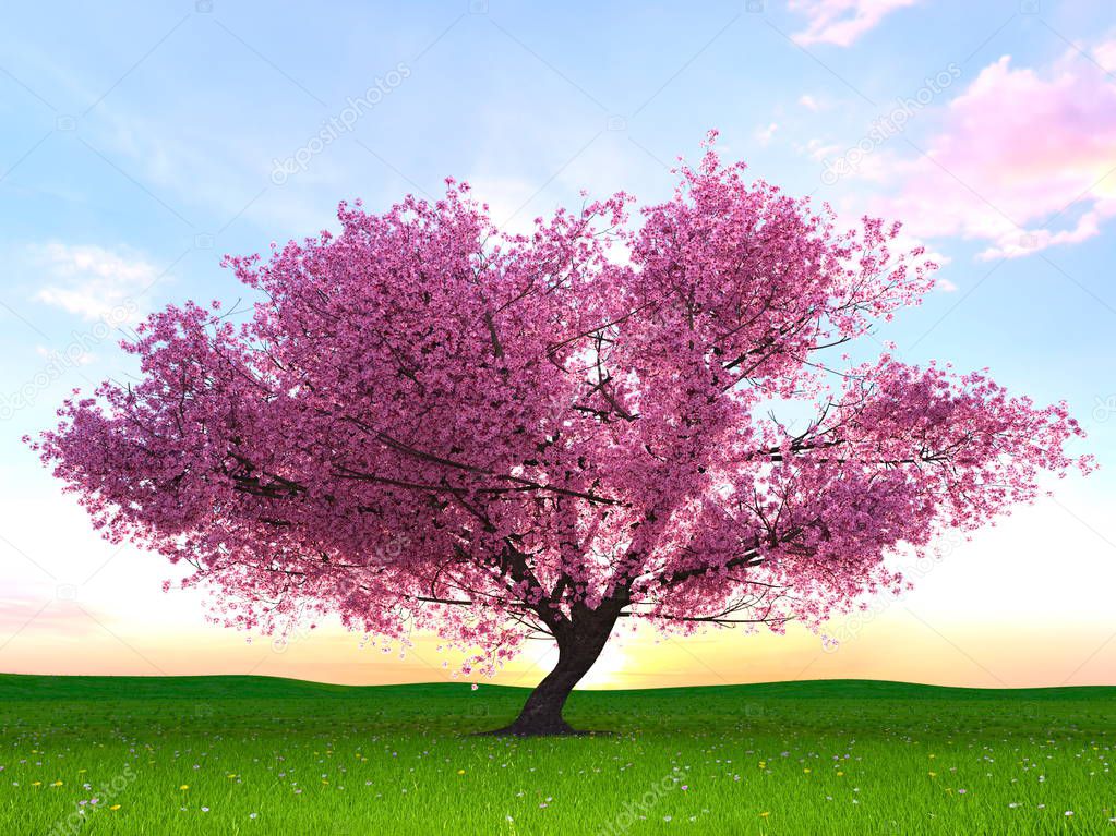 3D CG rendering of a cherry tree