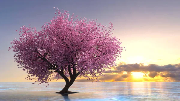 3D CG rendering of a cherry tree — Stock Photo, Image