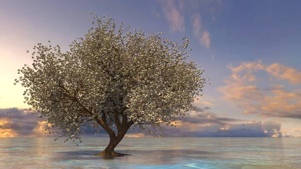 Kiraz ağacı 3d cg render — Stok fotoğraf