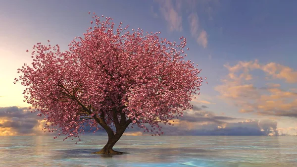 3D CG rendering of a cherry tree — Stock Photo, Image