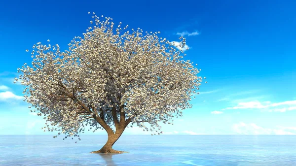 3D CG rendering of a cherry tree — Stock Photo, Image