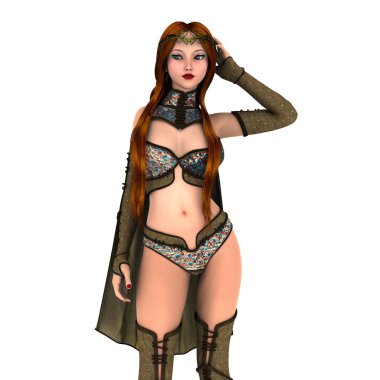 bir kadın şövalye 3d cg render