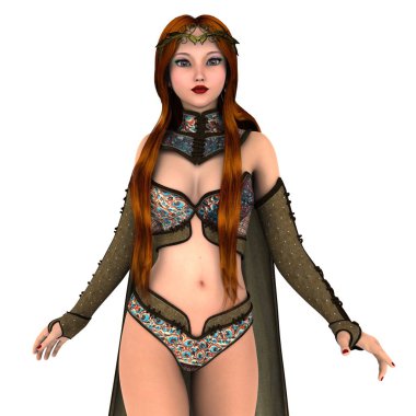 bir kadın şövalye 3d cg render
