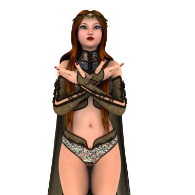bir kadın şövalye 3d cg render