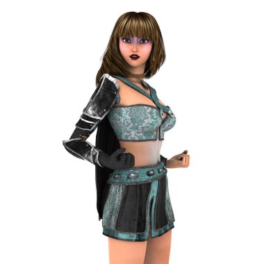 bir kadın şövalye 3d cg render