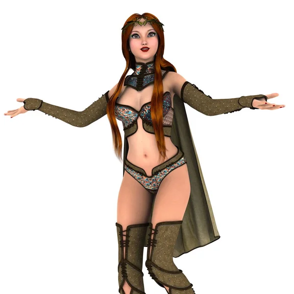 bir kadın şövalye 3d cg render