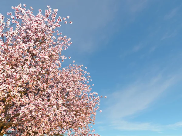 3D cg återgivning av ett körsbärsträd — Stockfoto