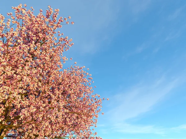 3D CG rendering of a cherry tree — Stock Photo, Image