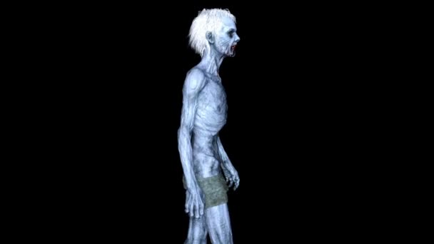 3D CG rendering of a walking zombie — Stock Video