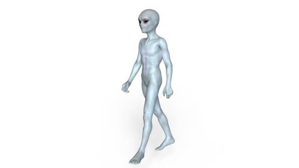 Walks with an alien