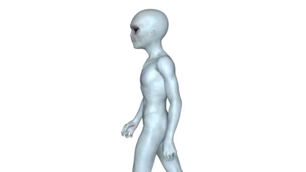 3D CG rendering of a walking alien — Stock Video