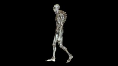 yürüyen bir canavar 3d cg işleme