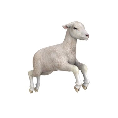 3d cg işleme bir koyun