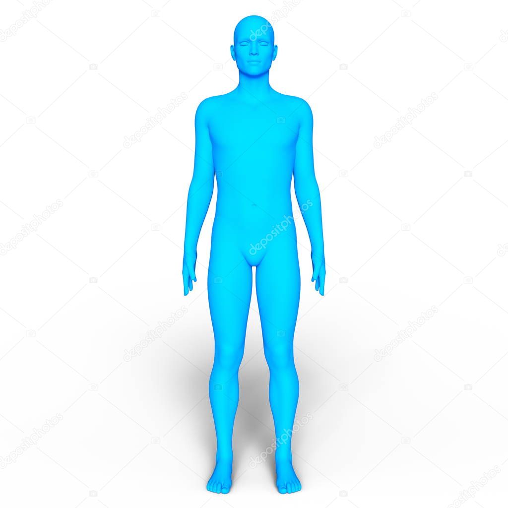 3D CG rendering of a male body