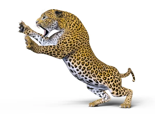 3D cg Darstellung eines Leoparden — Stockfoto