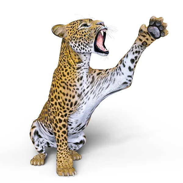 3D-s cg visszaadás-ból egy leopárd — Stock Fotó
