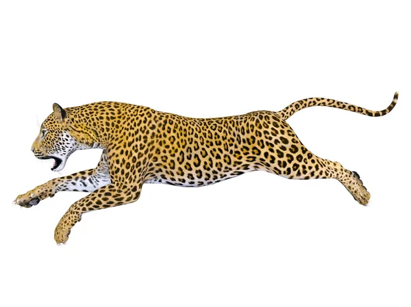 3D CG рендеринг леопарда — стоковое фото