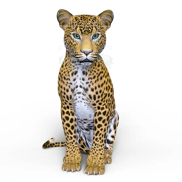 Απόδοσης 3D cg του leopard — Φωτογραφία Αρχείου