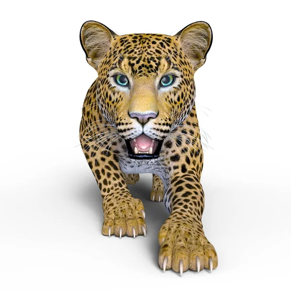 Απόδοσης 3D cg του leopard — Φωτογραφία Αρχείου