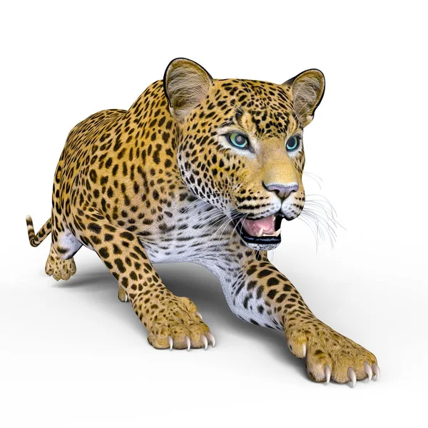 3D rendu 3D d'un léopard — Photo