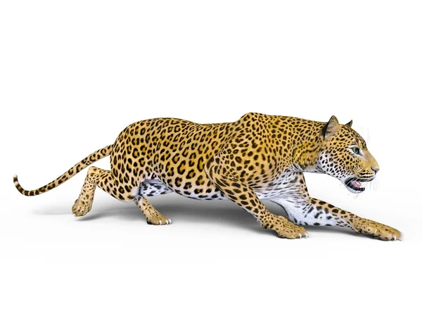 Renderowania 3D cg Leopard — Zdjęcie stockowe
