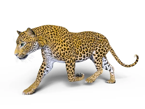 Representación 3D CG de un leopardo — Foto de Stock