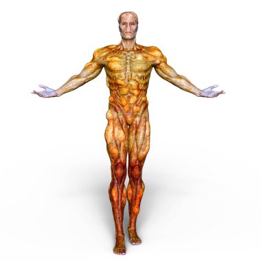 bir canavar 3d cg işleme