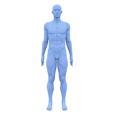 bir erkek vücudunun 3d cg işleme