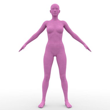 bir kadın bedeninin 3d cg render