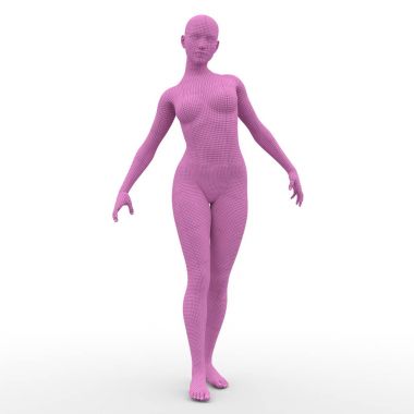 bir kadın bedeninin 3d cg render