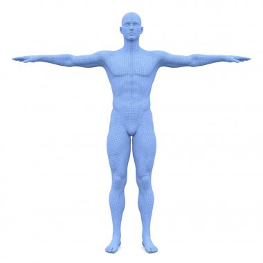 bir erkek vücudunun 3d cg işleme