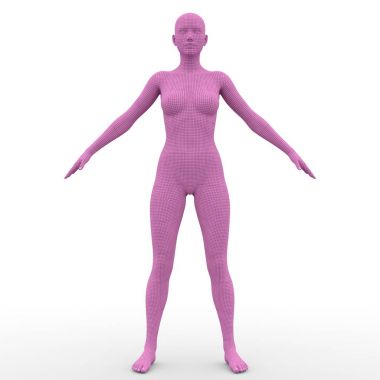 bir kadın bedeninin 3d cg render