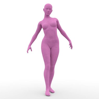 bir kadın bedeninin 3d cg render