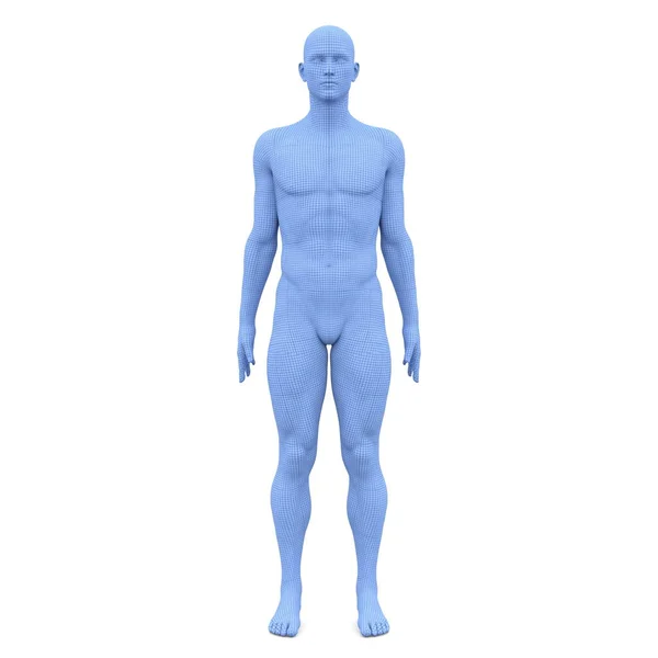3D cg ztvárnění mužského těla — Stock fotografie