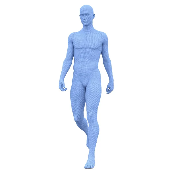 3D CG renderização de um corpo masculino — Fotografia de Stock