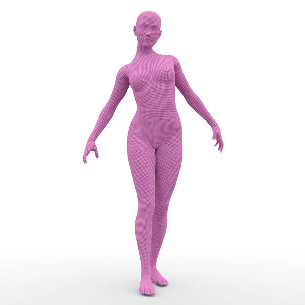 3D rendu 3D d'un corps féminin — Photo