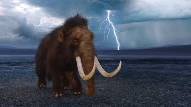 bir mamut 3d cg işleme