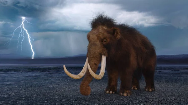 3D vykreslování cg mamuta — Stock fotografie
