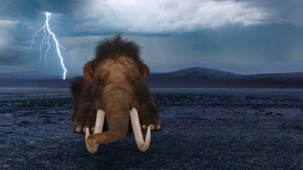 3D-s cg visszaadás-ból egy mamut — Stock Fotó