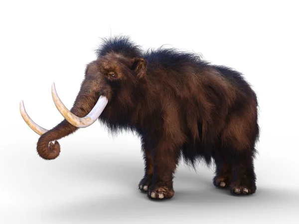 Bir mamut 3d cg işleme — Stok fotoğraf