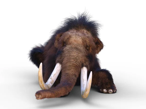 3D CG rendering of a mammoth — Stock Photo, Image