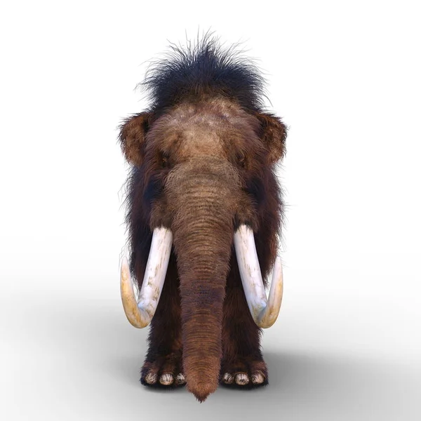 Rendering 3D CG di un mammut — Foto Stock